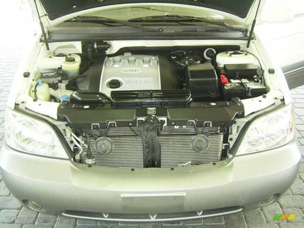2003 Sedona EX - Clear White / Gray photo #20