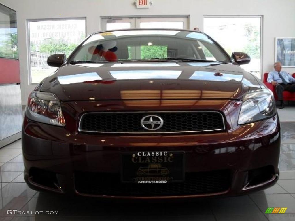 2005 tC  - Black Cherry Pearl / Dark Gray photo #5