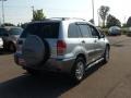 Titanium Metallic - RAV4 4WD Photo No. 5