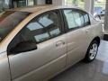 Golden Cashmere - ION 2 Sedan Photo No. 6