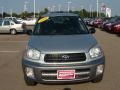 Titanium Metallic - RAV4 4WD Photo No. 8