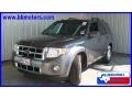 2009 Sterling Grey Metallic Ford Escape Limited V6  photo #1