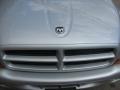 Bright Silver Metallic - Dakota R/T Regular Cab Photo No. 11