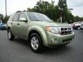 Kiwi Green Metallic 2008 Ford Escape Hybrid 4WD Exterior