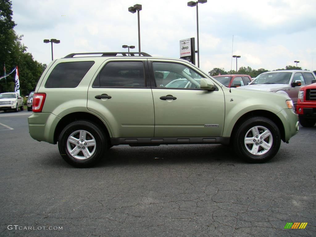 Kiwi Green Metallic 2008 Ford Escape Hybrid 4WD Exterior Photo #17011295