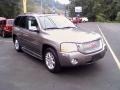 Steel Gray Metallic - Envoy Denali 4x4 Photo No. 3