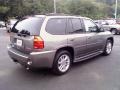 Steel Gray Metallic - Envoy Denali 4x4 Photo No. 4