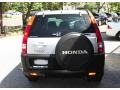 2004 Satin Silver Metallic Honda CR-V EX 4WD  photo #6