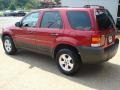 2007 Redfire Metallic Ford Escape XLT  photo #4