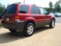 2007 Redfire Metallic Ford Escape XLT  photo #6