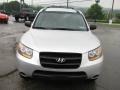 Bright Silver - Santa Fe GLS 4WD Photo No. 10
