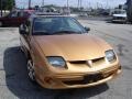 2002 Mayan Gold Pontiac Sunfire SE Coupe  photo #3