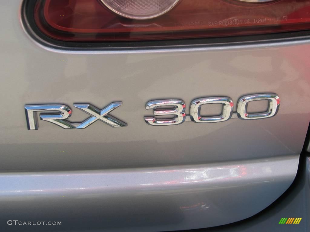 2000 RX 300 AWD - Millennium Silver Metallic / Gray photo #14