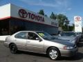 Titanium Frost Pearl - Altima GXE Photo No. 1
