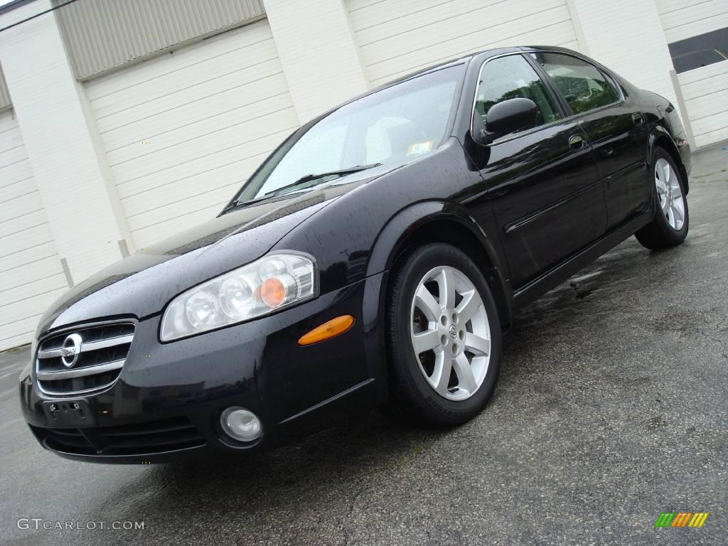 2003 Maxima GLE - Super Black / Black photo #2