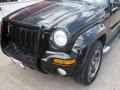 2003 Black Clearcoat Jeep Liberty Renegade 4x4  photo #16