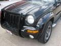 Black Clearcoat - Liberty Renegade 4x4 Photo No. 16