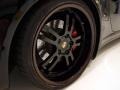2008 Porsche 911 Turbo Coupe Wheel and Tire Photo