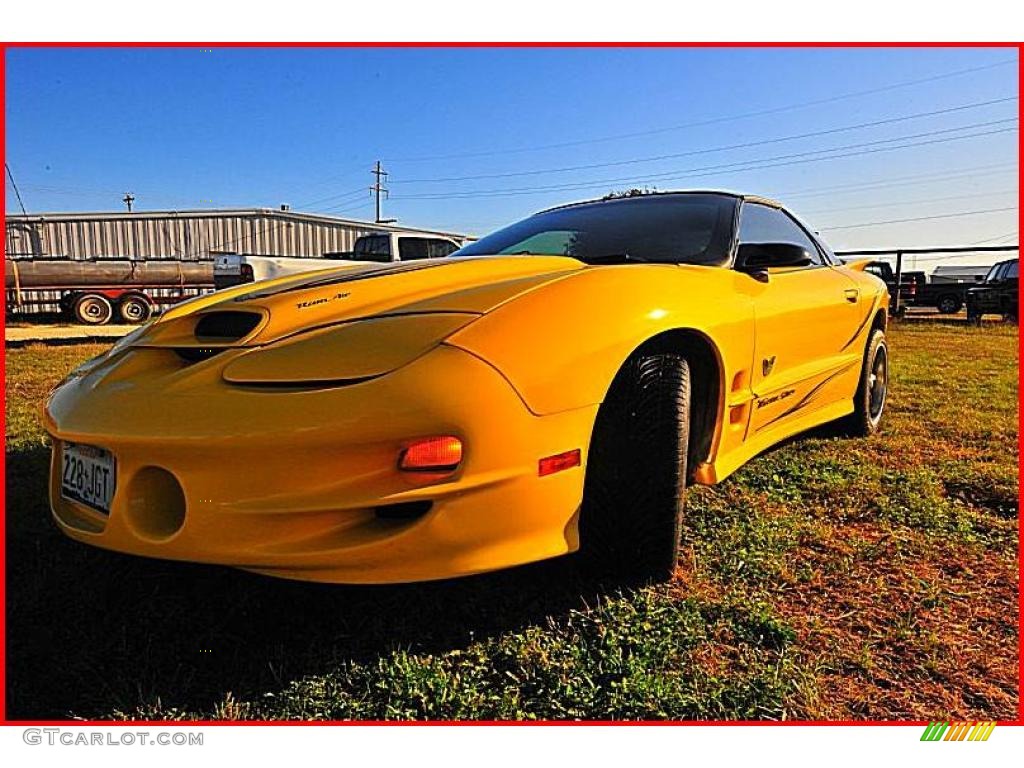 2002 Firebird Trans Am WS-6 Coupe - Collector Edition Yellow / Ebony Black photo #1