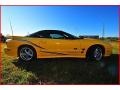 2002 Collector Edition Yellow Pontiac Firebird Trans Am WS-6 Coupe  photo #8