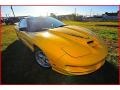 2002 Collector Edition Yellow Pontiac Firebird Trans Am WS-6 Coupe  photo #9