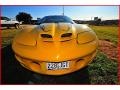 2002 Collector Edition Yellow Pontiac Firebird Trans Am WS-6 Coupe  photo #11