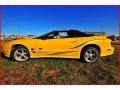 2002 Collector Edition Yellow Pontiac Firebird Trans Am WS-6 Coupe  photo #24