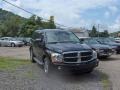 2005 Black Dodge Durango Limited 4x4  photo #3