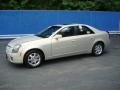 Gold Mist - CTS Sedan Photo No. 1