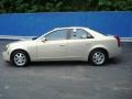 Gold Mist - CTS Sedan Photo No. 2