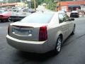 Gold Mist - CTS Sedan Photo No. 5