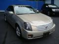Gold Mist - CTS Sedan Photo No. 6