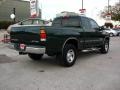 2002 Imperial Jade Green Mica Toyota Tundra SR5 Access Cab 4x4  photo #6