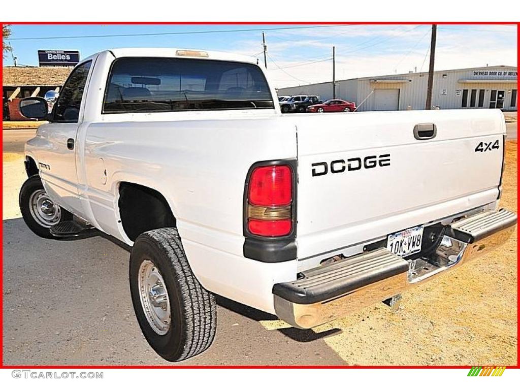 2001 Ram 1500 Regular Cab 4x4 - Bright White / Mist Gray photo #3