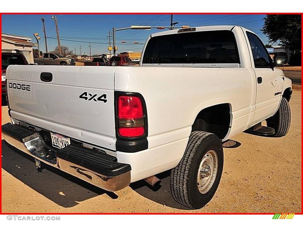 2001 Ram 1500 Regular Cab 4x4 - Bright White / Mist Gray photo #6