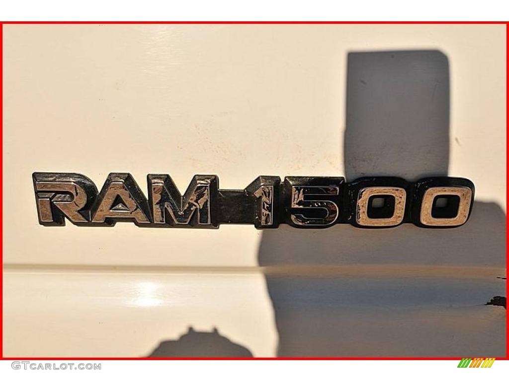 2001 Ram 1500 Regular Cab 4x4 - Bright White / Mist Gray photo #9
