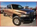 Sierra Bronze Pearlcoat - Ram 2500 SLT Extended Cab 4x4 Photo No. 13