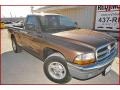 2000 Sierra Bronze Pearlcoat Dodge Dakota SLT Regular Cab  photo #8