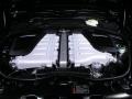 Beluga - Continental Flying Spur  Photo No. 16