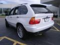 Alpine White - X5 3.0i Photo No. 3