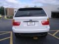 Alpine White - X5 3.0i Photo No. 4