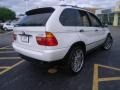 Alpine White - X5 3.0i Photo No. 5