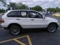 Alpine White - X5 3.0i Photo No. 6