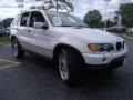 Alpine White - X5 3.0i Photo No. 7