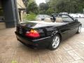 2003 Black Sapphire Metallic BMW 3 Series 325i Convertible  photo #10