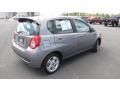 2009 Medium Gray Chevrolet Aveo Aveo5 LT  photo #4