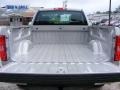 2009 Silver Birch Metallic Chevrolet Silverado 1500 LS Regular Cab  photo #13