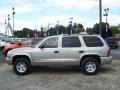 2001 Light Pewter Metallic Dodge Durango SLT 4x4  photo #4