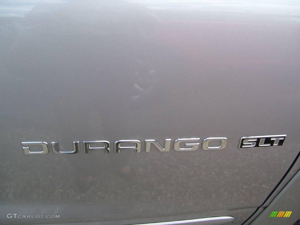 2001 Durango SLT 4x4 - Light Pewter Metallic / Dark Slate Gray photo #22