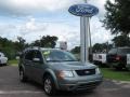 2006 Titanium Green Metallic Ford Freestyle Limited  photo #1